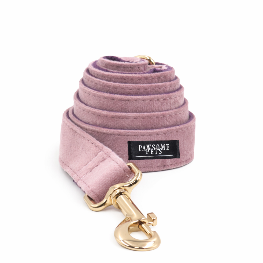 The Signature Leash - Pink
