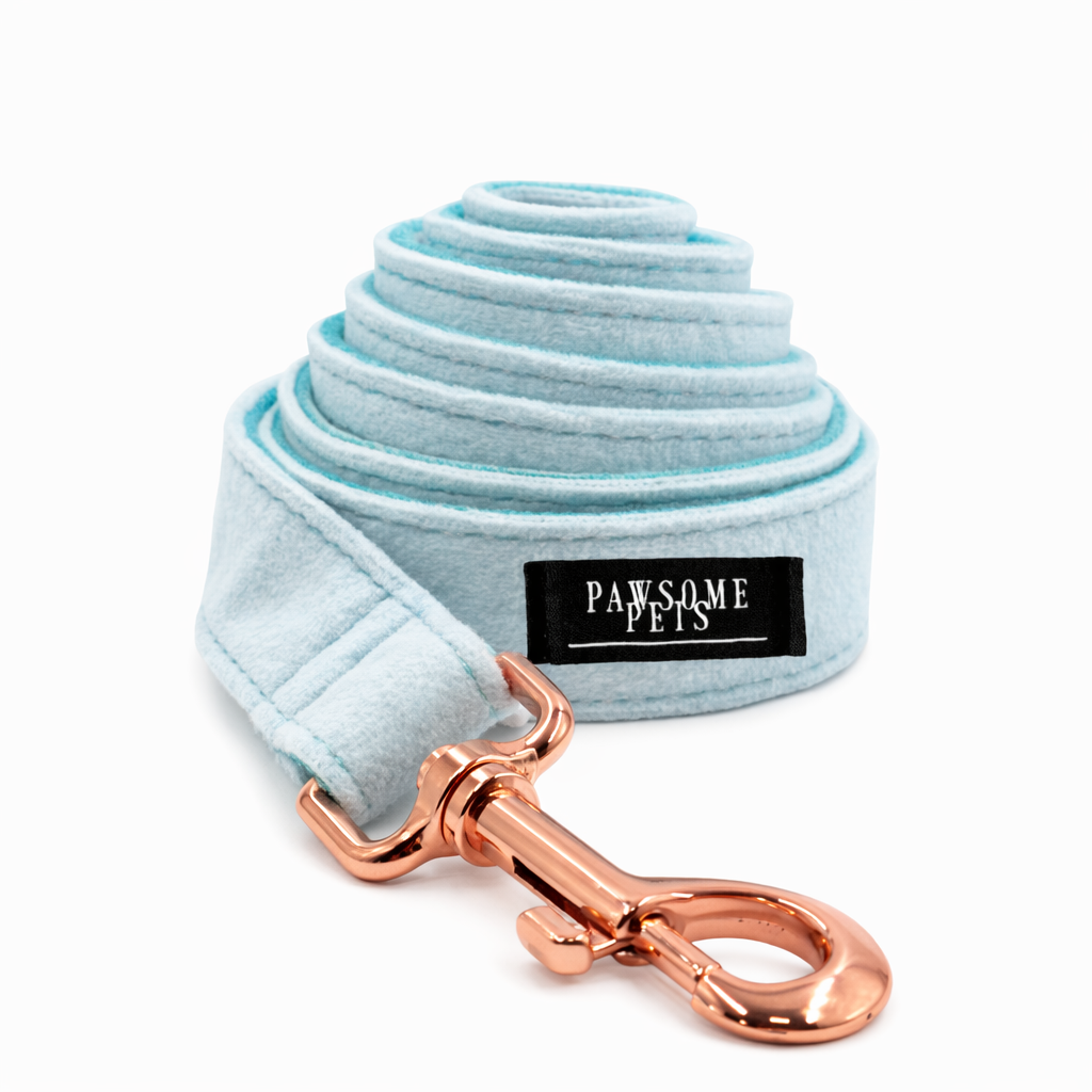The Signature Leash  - Mint Green