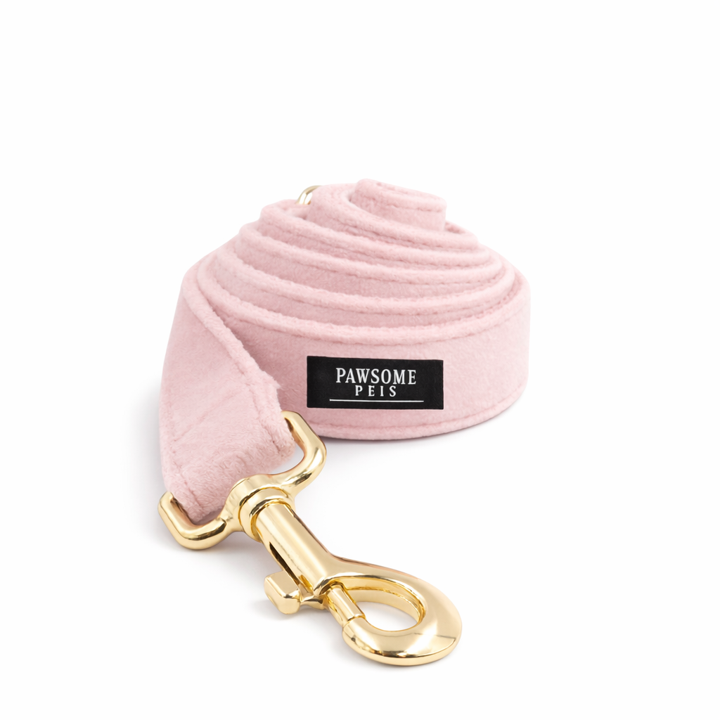 The Signature Leash  - Coral Pink