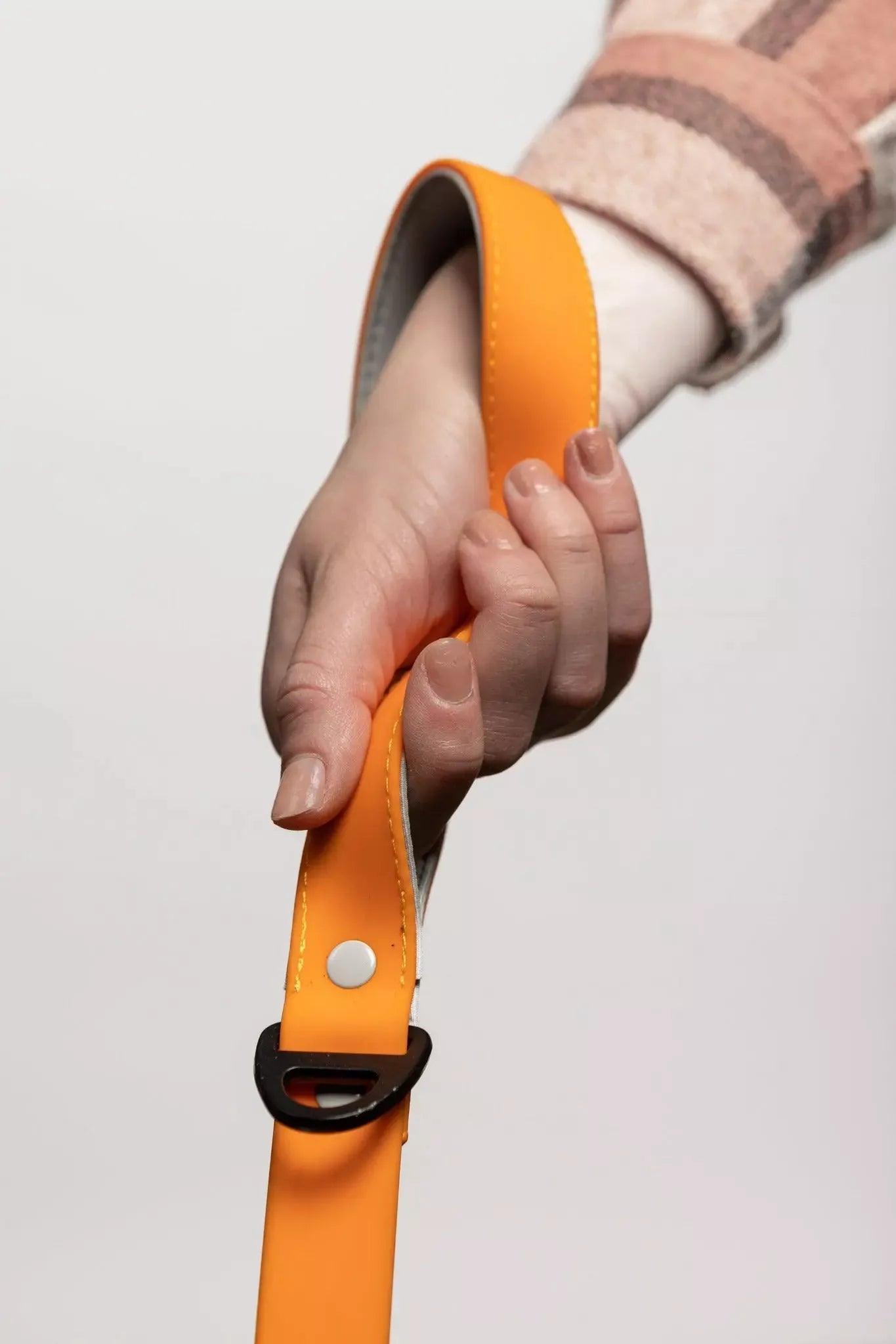 Waterproof Dog Leash - Crimson Glow