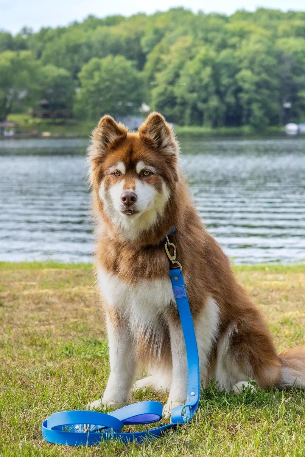 Waterproof Dog Leash - Sky Blue