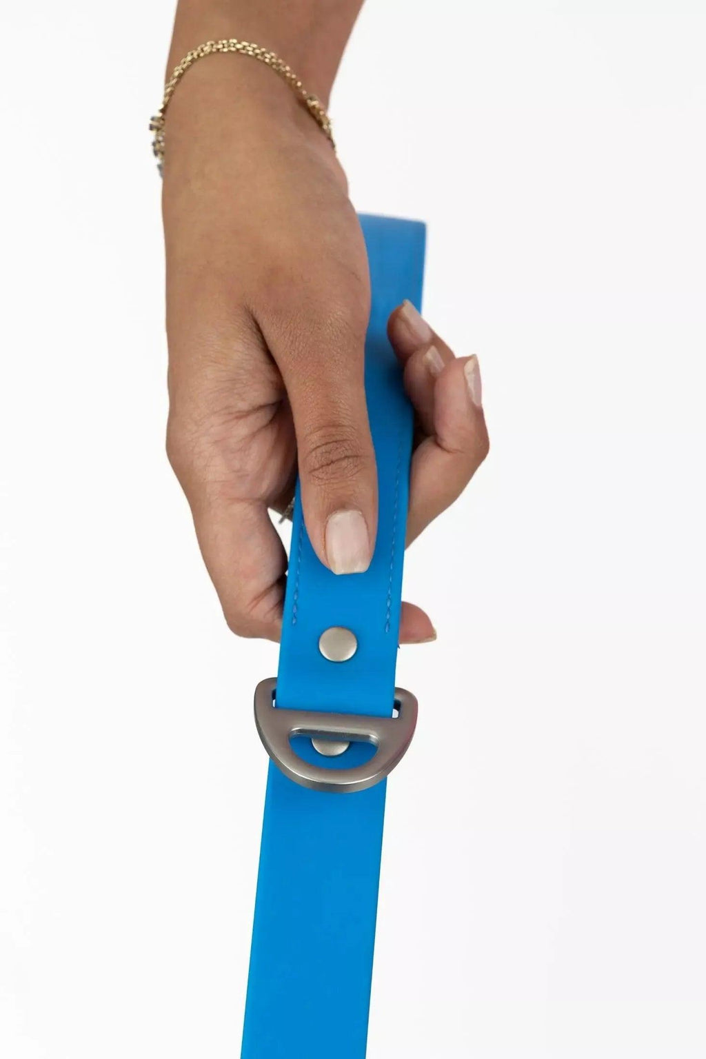 Waterproof Dog Leash - Sky Blue