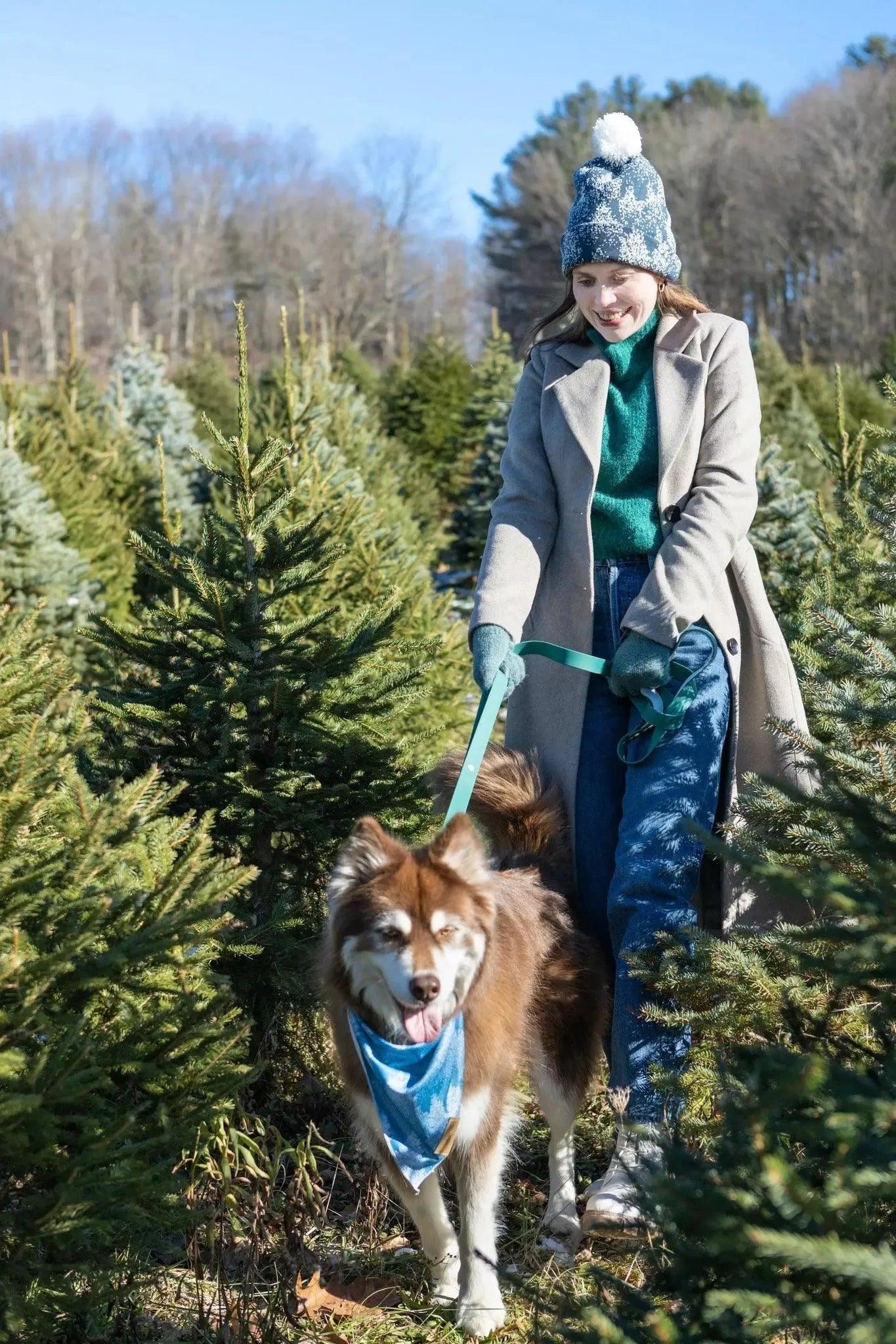 Waterproof Dog Leash -Siberian Spruce