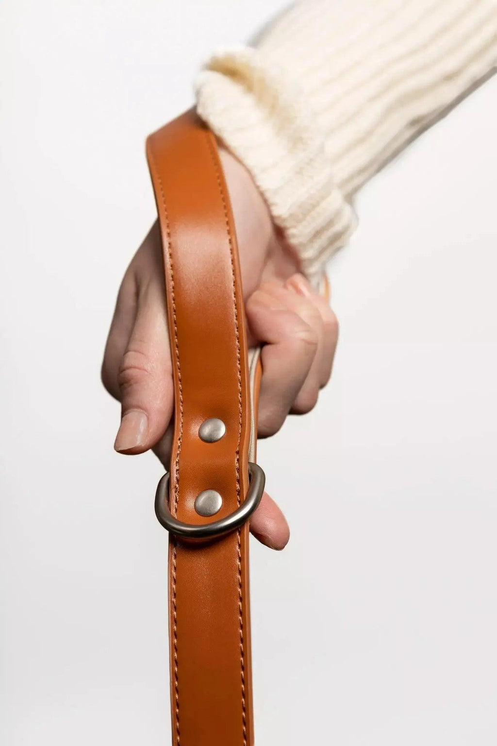 Vegan Leather Dog Leash - Sierra Sunrise