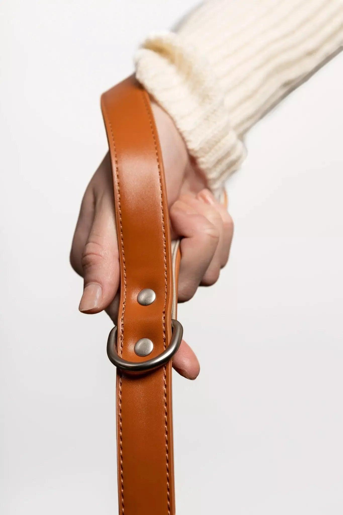 Vegan Leather Dog Leash - Sierra Sunrise