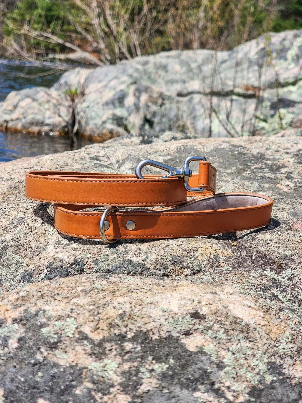 Vegan Leather Dog Leash - Sierra Sunrise