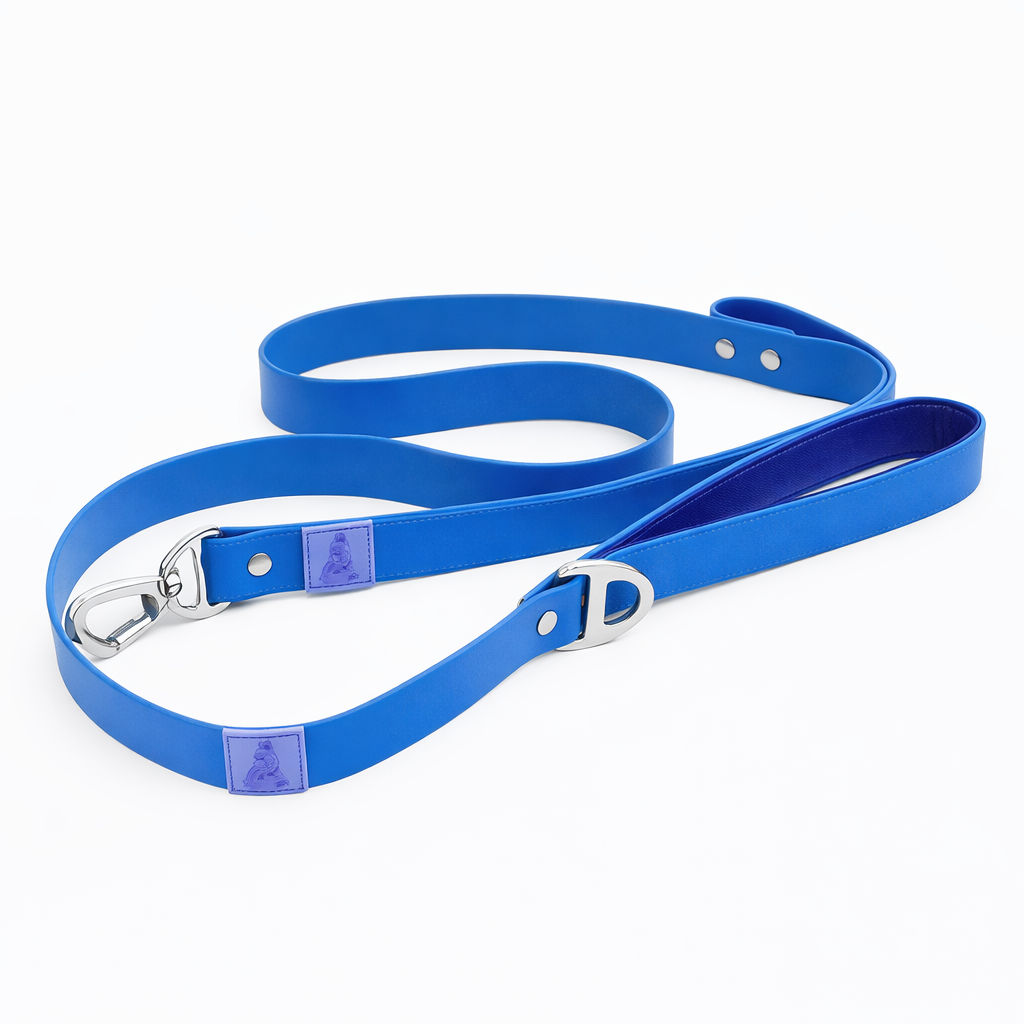 Waterproof Dog Leash - Sky Blue